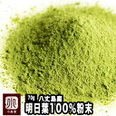 ＼LINEお友達登録で20％OFFクーポン獲得／明日葉 粉末 青汁 (100g) 明日葉粉末 パウダー 国産 無添加 あしたば あしたば茶 粉末茶 美容 健康 ダイエット サプリ 鹿児島県 カルコン βカロテン ベータカロテン 食物繊維 アシタバ クマリン 送料無料