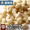 【業務用・卸販売】ナッツ 専門店 生カシューナッツ インド産 11.34kg 業務用バルク(箱単位)販売 無添加大粒でナッツの旨みが濃い上質なカシューナッツナッ...