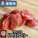 【業務用・卸販売】いちごの郷の 苺 使用 ドライいちご 20kg 業務用バルク(箱単位)販売いちごの甘くておいしい香りがたまらない 子供 に大人気のドライフルー...