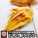 店主が一番美味いと思う至極のカンボジア産ドライマンゴー《100g》 カンボジア産マンゴー　カンボジアマンゴー ドライマンゴー ドライフルーツ 半生 ジャパン フード プロダクト