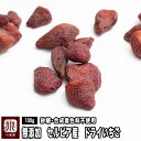 無添加 ドライいちご（セルビア産）《100g》 砂糖不使用いちご イチゴ ドライフルーツ 専門店 上野 アメ横