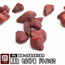 無添加 ドライいちご セルビア産 300g 砂糖不使用 添加物不使用合成着色料不使用りんご果汁で柔らかく仕上げた爽やかな酸味が楽しめる ドライイチゴ ドライ苺 ...