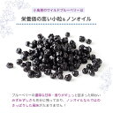 ノンオイル ワイルドブルーベリー 野生種 200g ノンオイル アメリカ産濃厚な甘み 油不使用だからさっぱりしたクリアーな上品な味わい ドライブルーベリー ブルーベリー ドライフルーツ 専門店 上野 アメ横