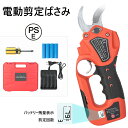 「限定5000円OFFー10980円」電動剪定バサミ 充電式 剪定ばさみ バッテリー4個 LEDディスプレイバッテリー残量表示 電動剪定バサミ 電動剪定ばさみ ...