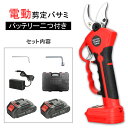 [楽天1位]電動剪定ばさみ 充電式剪定ばさみ バッテリー2個 電動剪定ばさみ X32 切断直径最大40mm 電動剪定ばさみ 剪定ばさみ 電動 充電式剪定ばさみ 剪定はさみ 充電式剪定ばさみ 枝切り電動はさみ 庭木果樹用 剪定鋏園芸用 電動剪定ハサミ