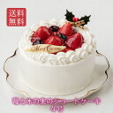 クリスマス【苺と木の実のショートケーキ 4号（直径12cm）】送料無料 新宿Kojimaya x'mas プレゼント 早期 予約 イチゴ いちご