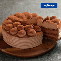 新宿Kojimaya チョコレートケーキ ガトーショコラ 5号 クランチ入り 直径15cm チョコレートケーキ 送料無料 濃厚 お土産 贈り物 プレゼント 誕生日ケーキ バースデーケーキ 子ども こども 子供 の日 チョコレート 小島屋乳業製菓　新宿kojimaya