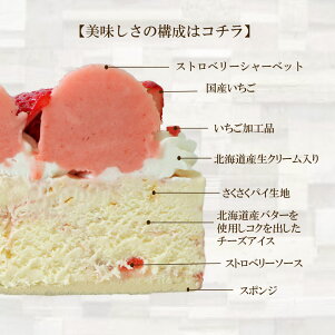 小島屋乳業製菓 新宿Kojimaya アイスケーキ【アイスケーキ ストロベリーチーズパイ4号】アイスデコレーション 送料無料