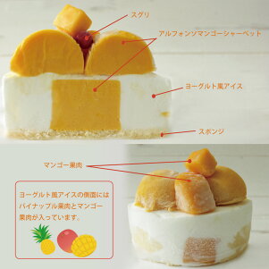 小島屋乳業製菓新宿Kojimayaアイスケーキ誕生日【アイスケーキマンゴー&ヨーグルト風4号】アイスデコレーション送料無料