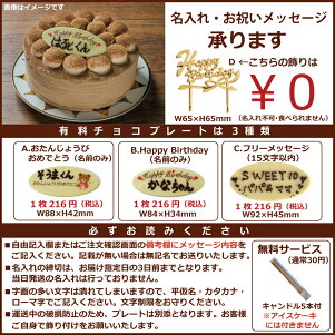 小島屋乳業製菓 新宿Kojimaya アイスケーキ【アイスケーキ ストロベリーチーズパイ4号】アイスデコレーション 送料無料