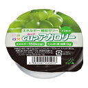 カップアガロリー マスカット キッセイ薬品工業 腎臓病食 エネルギー強化 低たんぱく・減塩が必要な方 高齢者 お年寄り ギフト対応(4)