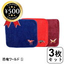  TOWEL COMPANY 今治タオル 3枚セット 恐竜ワールド （ティラノサウルス・プテラノドン・アンキロサウルス） タオルハンカチ 個包装 恐竜 男の子 まとめ買い プチギフト お配り 景品