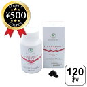 【レビュー書いて500円offクーポン】 ピクノジェノール 120mg /4粒中 ピクノジェノール ライフ (120粒/30日分) ライフアップ フランス海岸松樹皮 栄養補助食品 安心の国内GMP認定工場で生産 サプリ 健康 天然成分 アマニ油配合 美容 サプリメント おすすめ