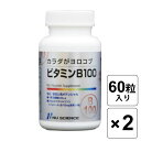 ニューサイエンス カラダがヨロコブ ビタミンB-100 60粒 × 2個セット サプリメント ビタミンB群 ビタミンB100 サプリ まとめ買い 人気 ビタミン 吸収率を高める タイムリリース加工 カチオン