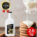 【レビュー書いて500円offクーポン】 ダヴィンチグルメ グルメソース ホワイトチョコレートソース 2.6kg チョコレート 飲食店 カフェ用 製菓 トッピン...