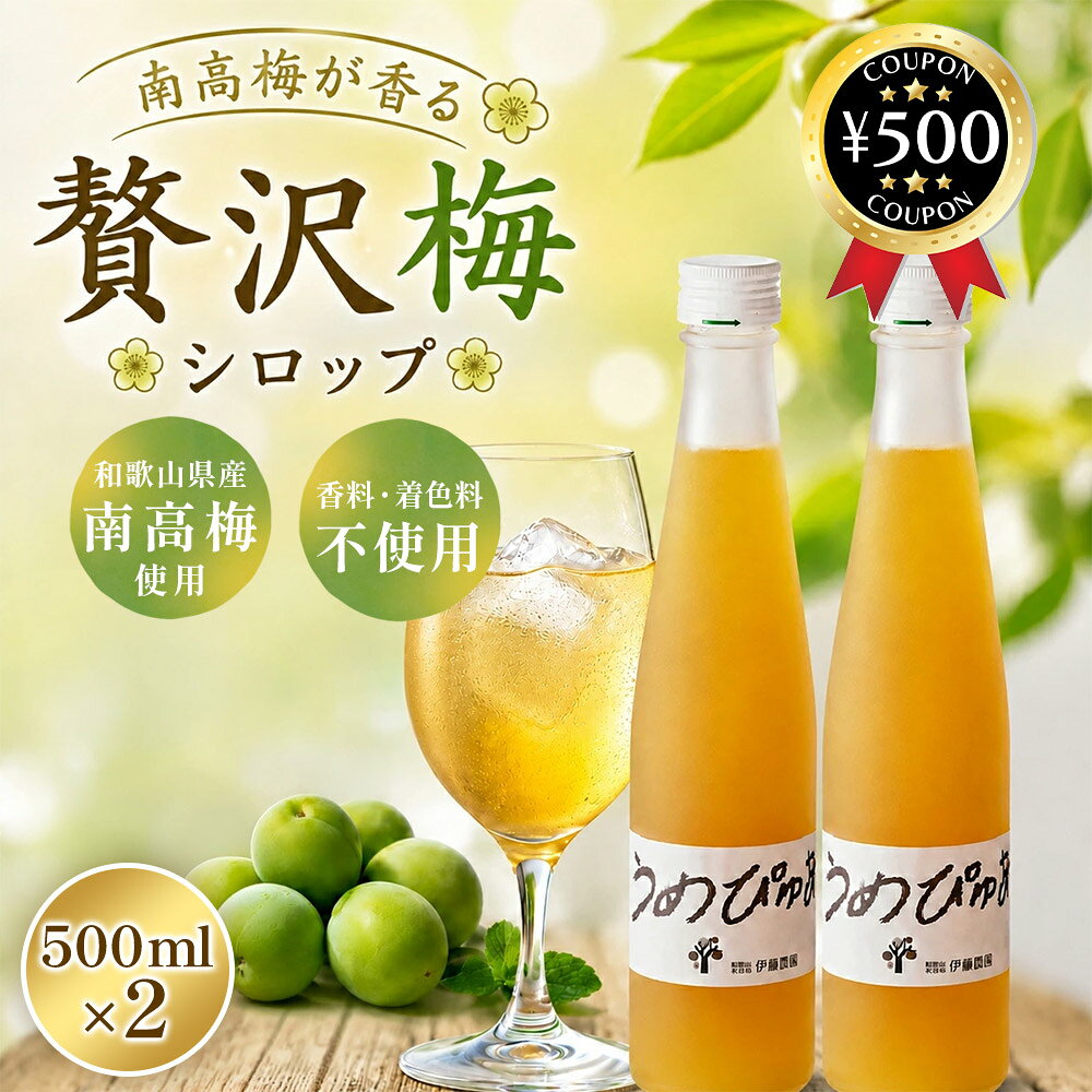楽天市場】梅シロップ無添加の通販