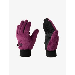 【クリアランス】THE NORTH FACE ザ・ノースフェイス バーサロフトイーチップグローブ（ユニセックス） / Versa Loft Etip Glove NN62311 BB