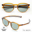 【最大P5倍!7/17迄】SOLAIZ ソライズ SLD-001 OUTDOOR / TEA / 偏光GRY