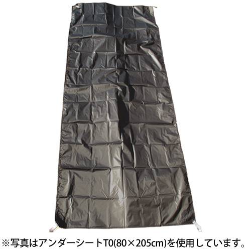 RIPENアライテントアンダーシートT2