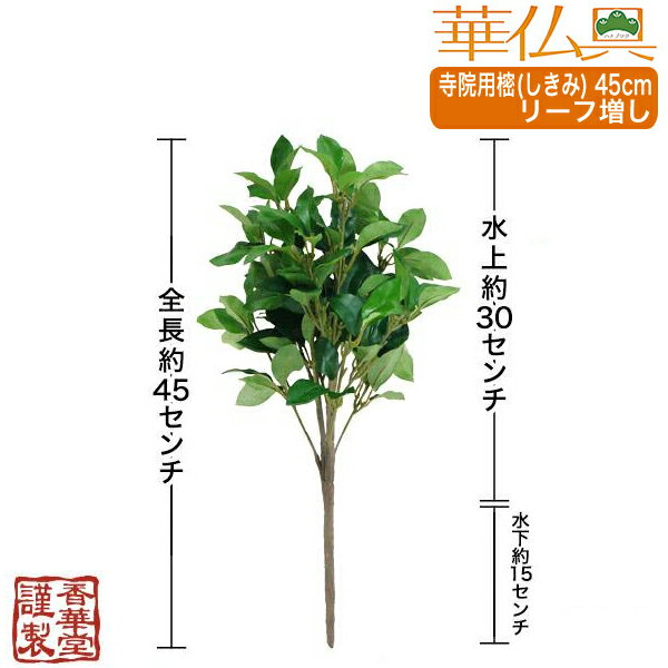 寺院用 樒(しきみ)[リーフ増]全長45cm×...の紹介画像2