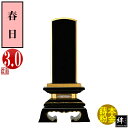 y앪 㖳zJhʔv t 3.015.5~7.9~s3.8[cm]D3(9.1cm)D4cm