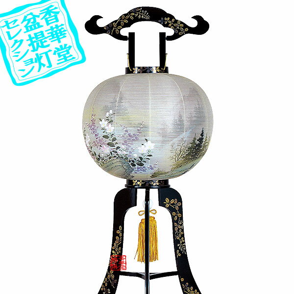 (3­) ܼܶ 50[Ȣ]/ĥ[񤭳˹]⤵112cm߲޷()46cm{AS}Ǽ...