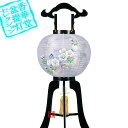 y~񓔁zs(3{) ؂̍h 11 ؐ[h]/d[̂ڂ蕇u]84cm~Α܌a()34cm{AS}