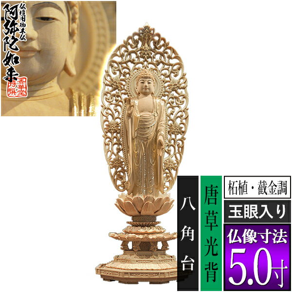 ڹƲʩѸʩۡھڽѡ۽ ӿ[٣Ĵ þ] [̴] 5.0 Ȭ [327120...
