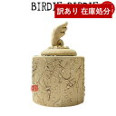 茳{p ~j() n썜 My BIRDIE,BIRDIE(o[fBo[fB)