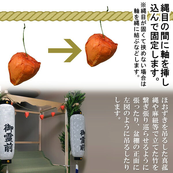 【盆用品】【祭壇用品】お盆飾り 鬼灯(ほおずき) バラ 5個 一組 初盆 お供え お盆用 ほうずき ホオズキ飾り 造花【納期目安：営業日の正午受付で当日出荷】 kokadou-10003477 京都の仏具屋さん 香華堂 サンプル画像3