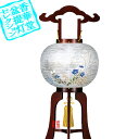 y~񓔁zs(3{) _ǂ {ؐ/d[GFR]78cm~Α܌a()31cm{AS}