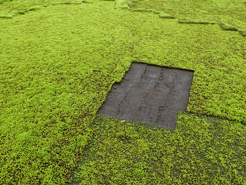 ���� ���� ���� ����� ���ޥ������� �������� �������� ������ �ݻ� �Ф���� Ϫ�Ϻ��� �������� ������