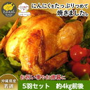 とりの丸焼 5羽 約4kg 沖縄県産 ローストチキン 冷凍 チキン 真空パック ディナー お取り寄せ 料理 丸 鶏 グリラー 鳥肉 加工品 鳥の丸焼き 鶏 丸焼き ホールチキン 丸ごと 丸鶏 鶏肉 骨付き肉 骨付き鳥 食材 ホームパーティー 誕生日 グルメ パーティー料理 インスタ映え