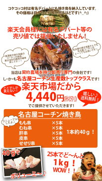 焼き鳥 【送料無料】新 名古屋コーチン 焼き鳥セット ★ もも串 むね串 せせり串 肝串 皮串 各5本　計25本セット / BBQ