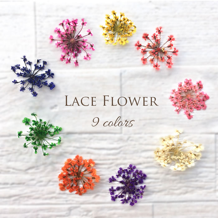 ドライフラワー(レースフラワー)2〜3枚入 サイズ約1.2〜1.8cm 押し花 ネイルパーツ 花 フラワーネイル ハンドメイド パーツ レジン