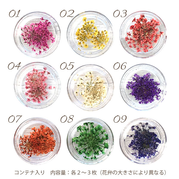 ドライフラワー（レースフラワー）2〜3枚入 サイズ約1.2〜1.8cm 押し花 ネイルパーツ 花 フラワーネイル ハンドメイド パーツ レジン