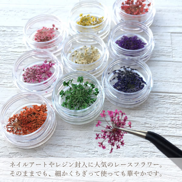 ドライフラワー（レースフラワー）2〜3枚入 サイズ約1.2〜1.8cm 押し花 ネイルパーツ 花 フラワーネイル ハンドメイド パーツ レジン