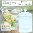 【 苔テラリウム容器 キャニスターL】 ガラス製 フタつき 苔むすび オリジナル容器 ガラス容器