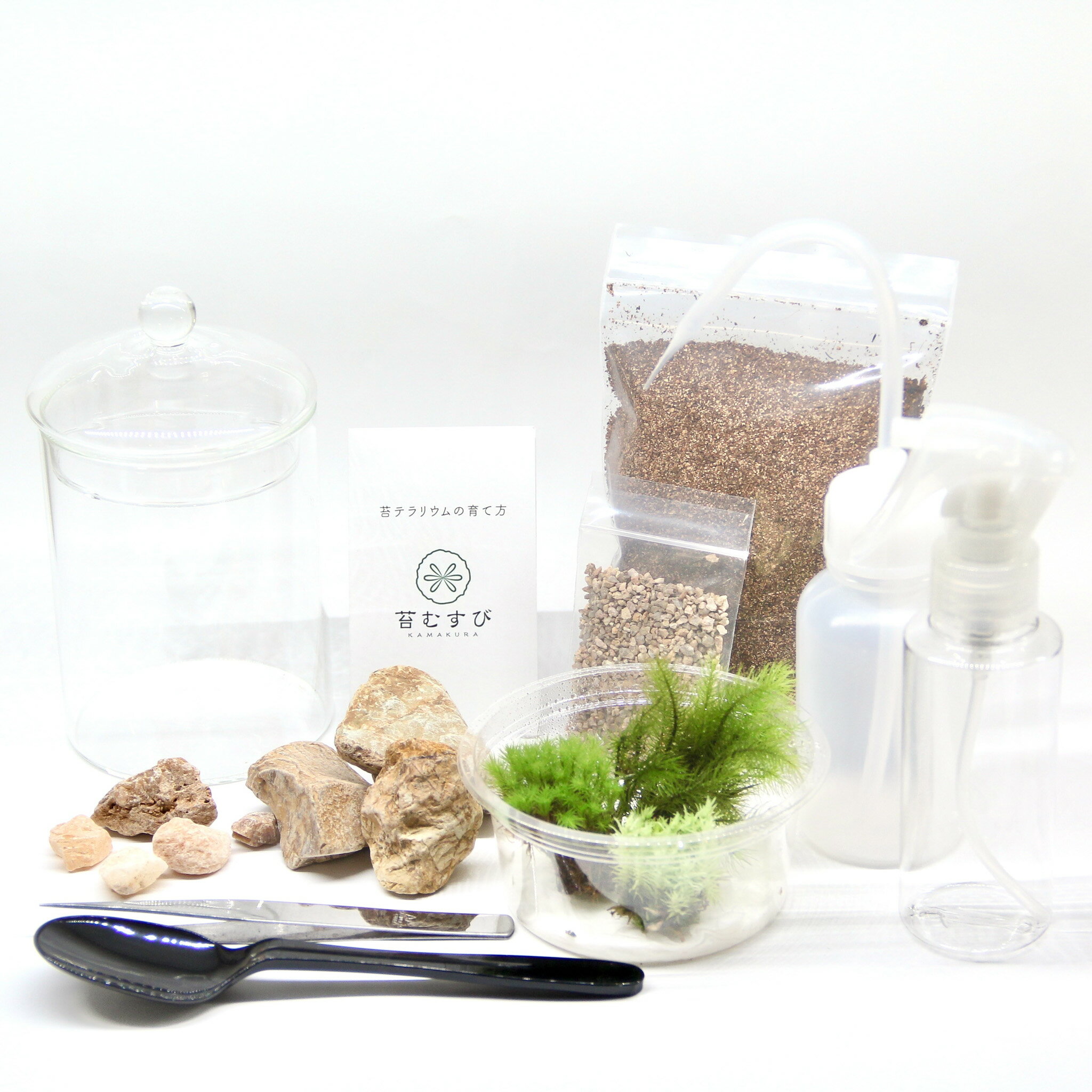 ツール付き ベーシック編 苔テラリウム キット（苔3種パック） スターターキット 苔テラリウムを作った事がない方へのギフトやプレゼントにも選ばれています