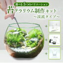 フタつき 苔テラリウム 制作キット 渓流タイプ 10cm 苔4種 テラリウム 苔 観葉植物 ハンドメイド インテリア BONSAI 卓上 室内 自由工作 工作 ...