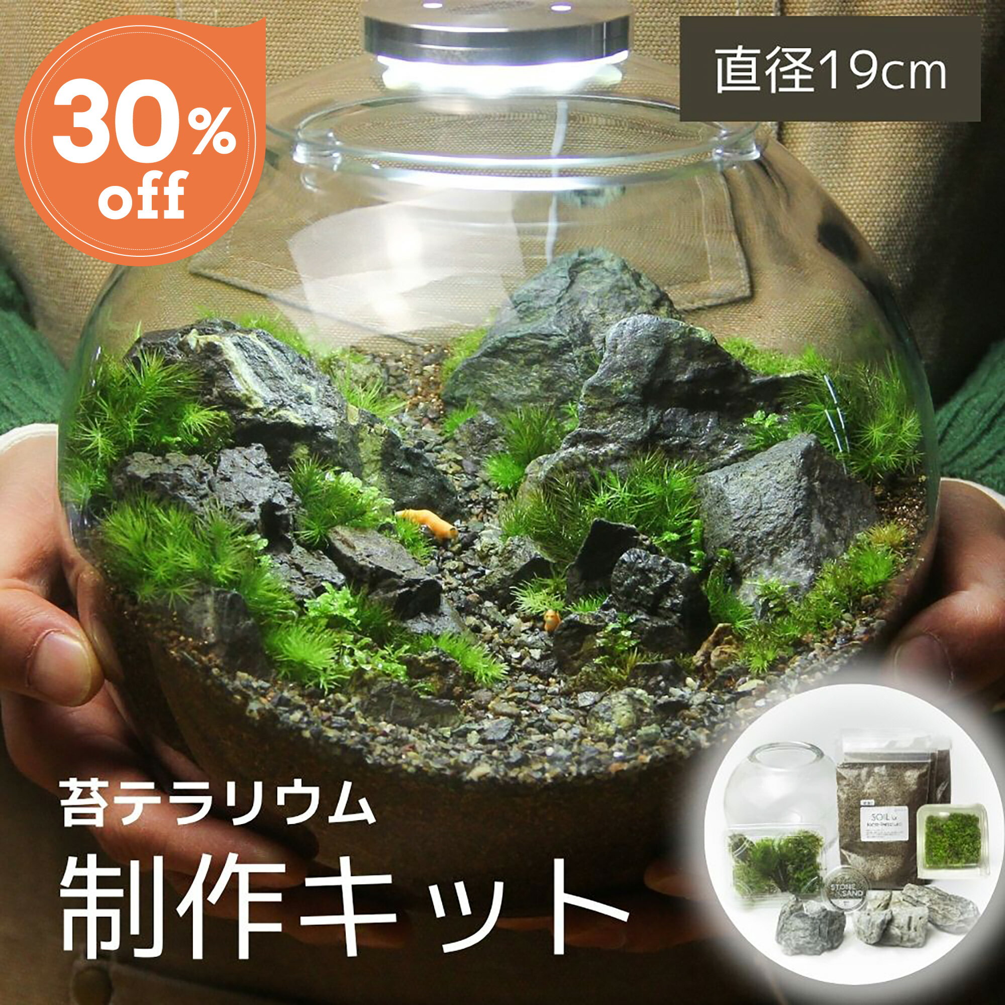 ＼送料無料／石が選べる【 大型苔テラリウム制作キット 直径19cmボウル制作キット】苔 テラリウム キット 初心者 セット ガラス 容器 プレゼントセミオープン 苔玉 作り方 育て方 インテリア 退職祝い 誕生日 盆栽 植物 ジオラマ ミニチュア 箱庭 室内 黒色溶岩