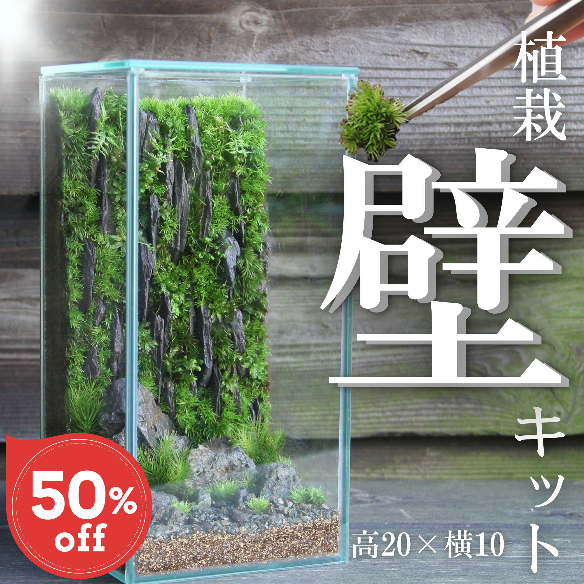 ＼送料無料／【苔を植えるだけの絶景キット】苔 テラリウム キット 初心者 セット ガラス 容器 プレゼントセミオープン 苔玉 作り方 育て方 インテリア 退職祝い 誕生日 盆栽 植物 ジオラマ ミニチュア 箱庭 室内
