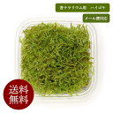 送料無料 メール便対応 ハイゴケ 【未洗浄グレード】