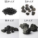 【苔テラリウム用ソイル 黒色溶岩石 】サイズ4種類 苔テラリウム用 ソイル 石 砂 苔の定着に1番おすすめ