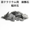 \20日全品P5倍/【苔テラリウム用ソイル 稲井石】 苔テラリウム用 レイアウト ソイル 階段用の石