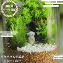 フタつき 手のひらサイズの苔テラリウム完成品 鎌倉のやぐら地蔵S 育て方つき 苔専門店 苔むすび 観葉植物 小さい 苔 盆栽 室内 デスク 卓上 小型 ガラス ...