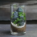 苔テラリウム 山水図 苔 地蔵 和風 おしゃれ 苔テラリウム作品 苔テラリウム完成品 ガラス容器 プレゼント 鎌倉 苔テラリウム専門店 種類 ジオラマ 和風 観...