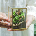 苔テラリウム 山岳の風景 メタルフレームS 苔 おしゃれ 苔テラリウム作品 インテリア 苔テラリウム完成品 ガラス容器 プレゼント 鎌倉 苔テラリウム専門店 種...