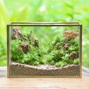 苔テラリウム 山岳の風景 メタルフレームL 苔 おしゃれ 苔テラリウム作品 インテリア 苔テラリウム完成品 ガラス容器 プレゼント 鎌倉 苔テラリウム専門店 種...