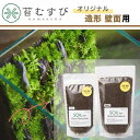 \20日全品P5倍/【造形・壁面の土】 苔テラリウム 土 絶壁 壁面 崩れない 固まる 土 苔むすび オリジナルブレンド 250cc 450cc
